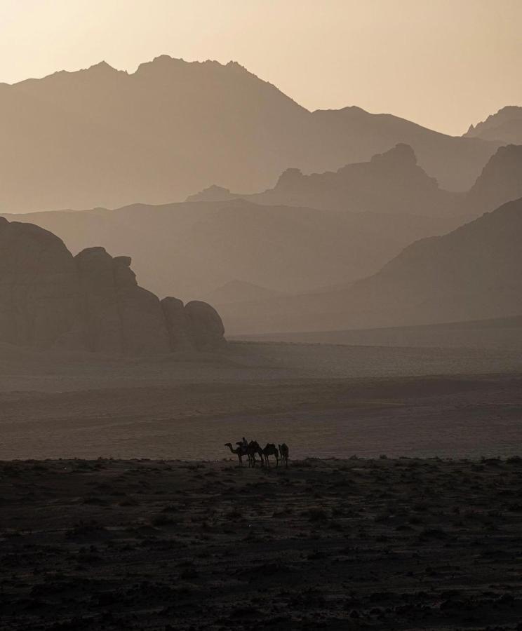 Wadirum Zeid Camp&Tours Wadi Rum Exterior foto