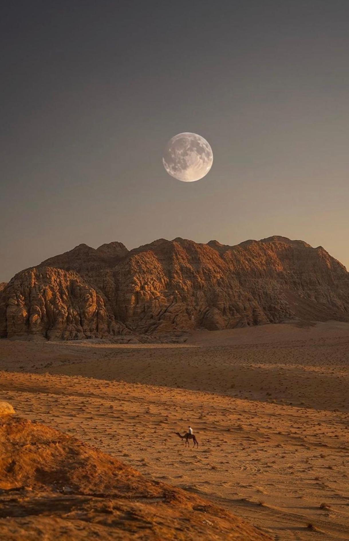 Wadirum Zeid Camp&Tours Wadi Rum Exterior foto