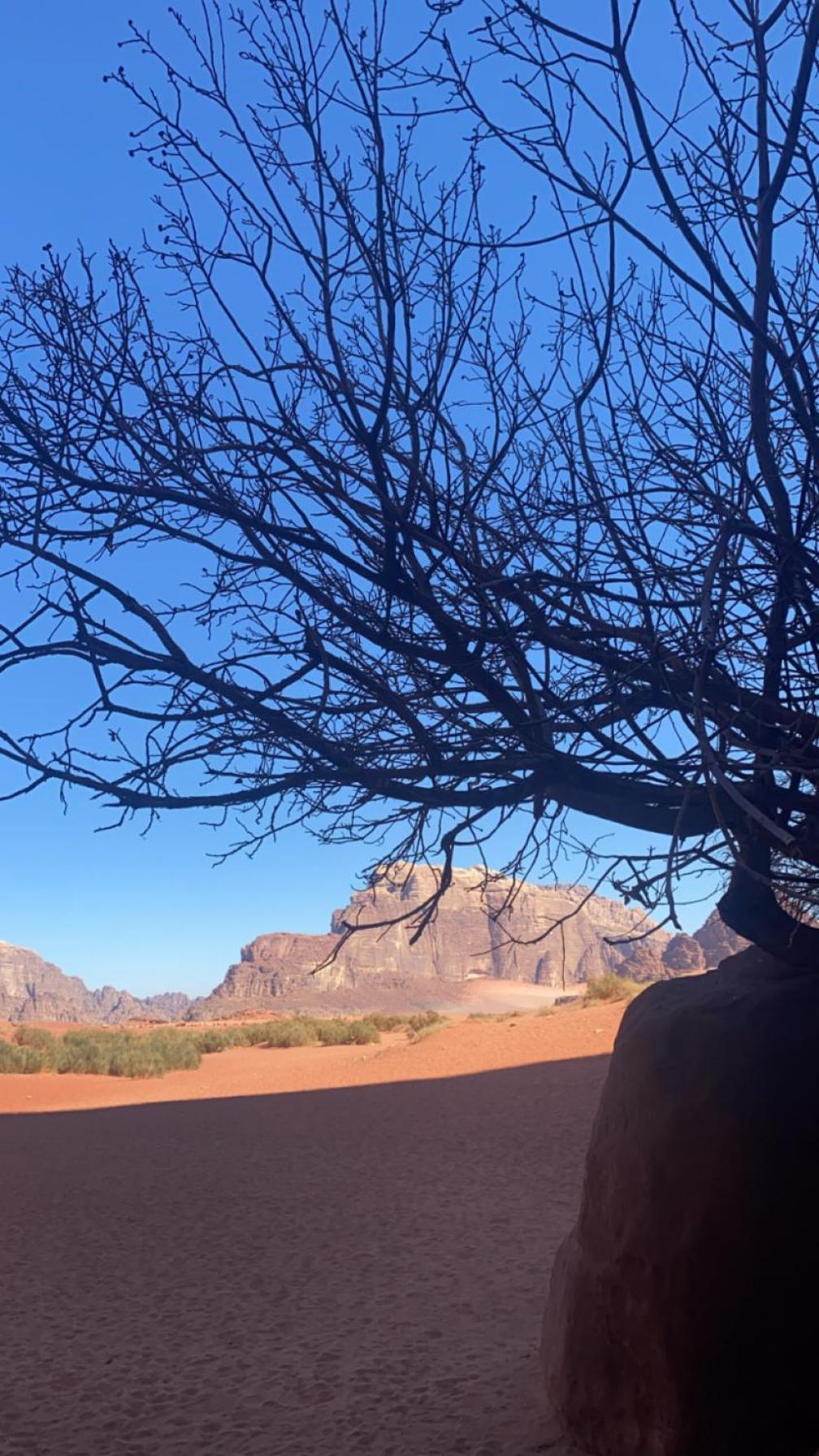 Wadirum Zeid Camp&Tours Wadi Rum Exterior foto